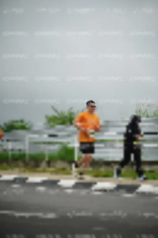 Photo ID 8522558