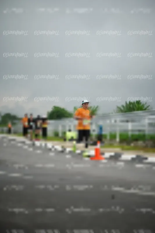 Photo ID 8522584
