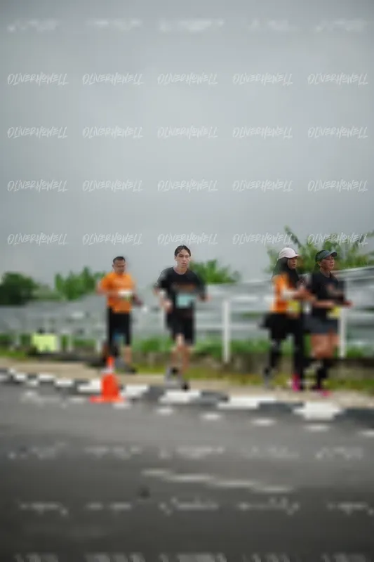 Photo ID 8522621