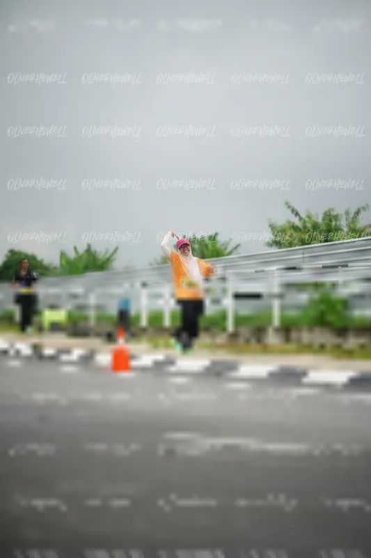 Photo ID 8522648