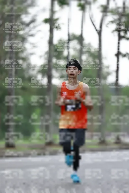 Photo ID 8522654
