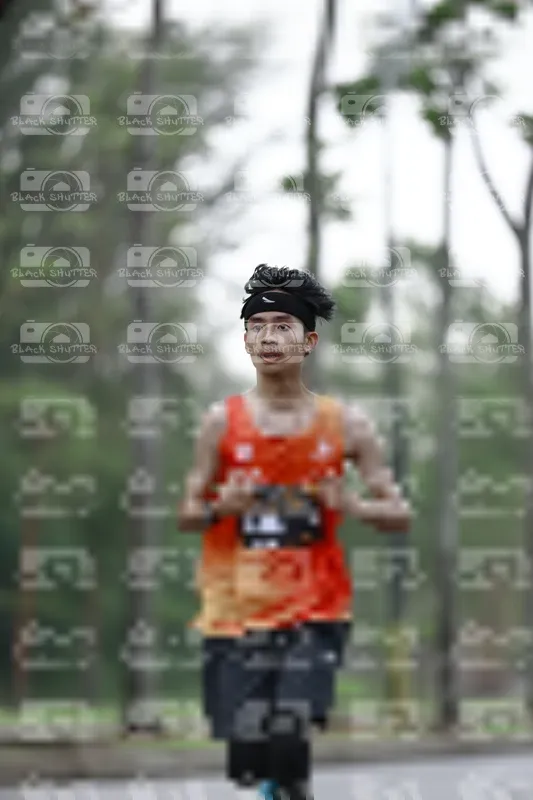Photo ID 8522704