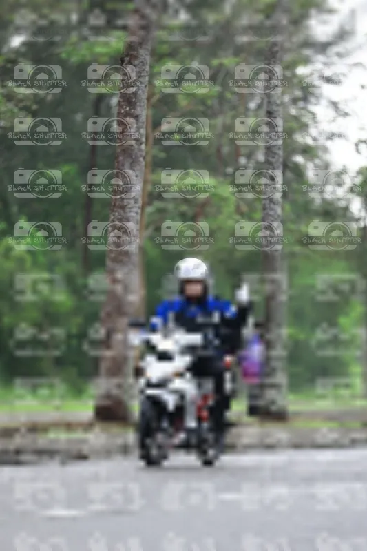Photo ID 8523896