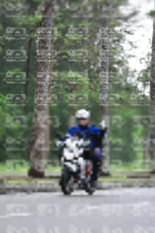 Photo ID 8523908