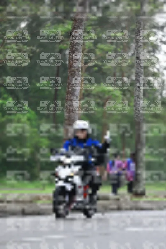 Photo ID 8523912