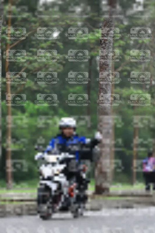 Photo ID 8523982