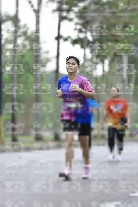 Photo ID 8525943