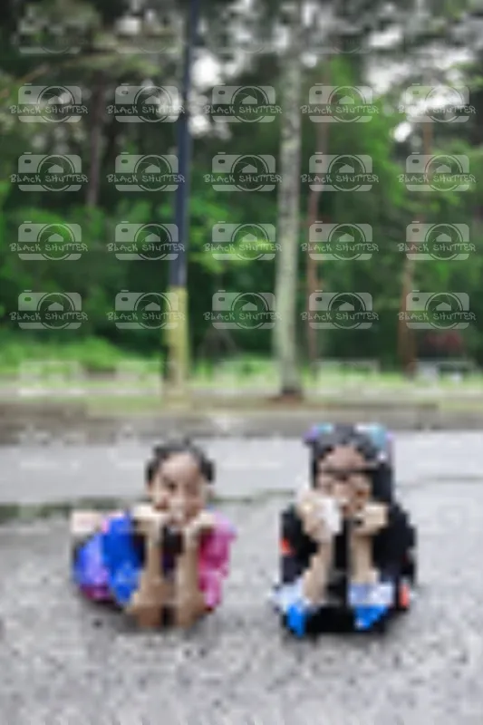Photo ID 8526976