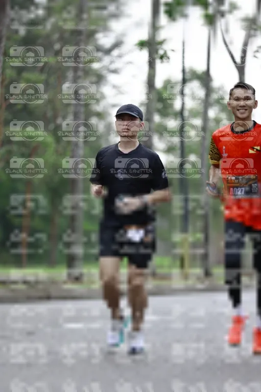 Photo ID 8527444