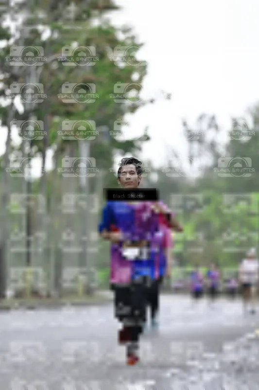Photo ID 8529082