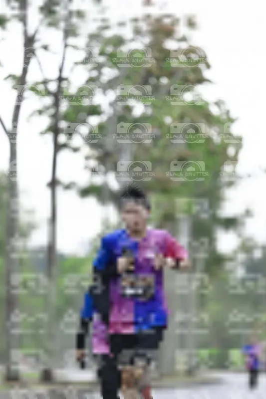 Photo ID 8529624