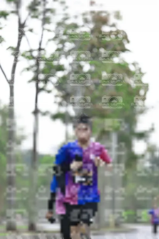 Photo ID 8529636