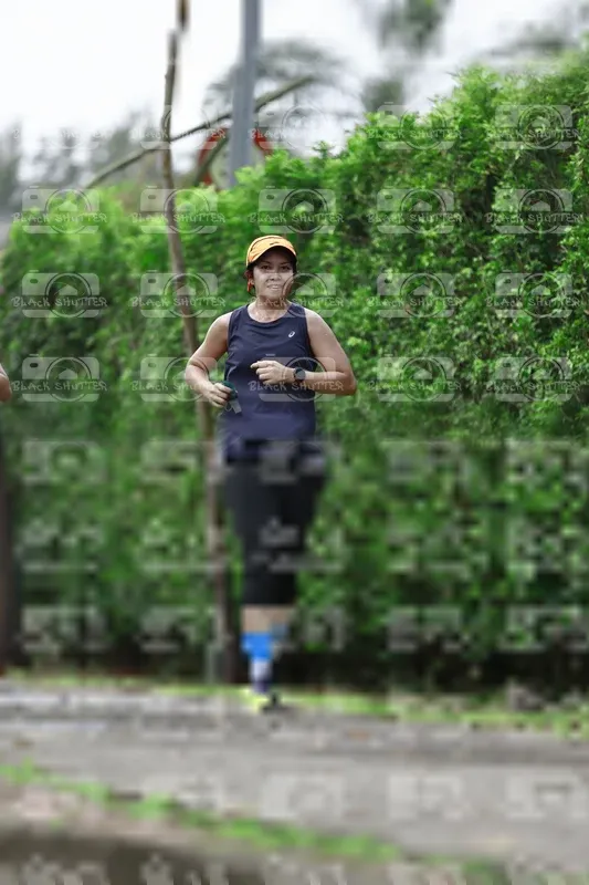 Photo ID 8531801
