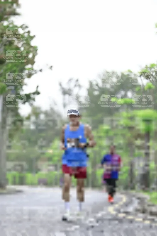 Photo ID 8532168