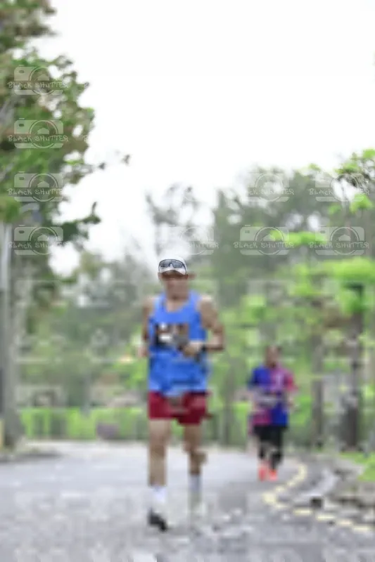 Photo ID 8532177