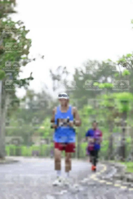 Photo ID 8532201