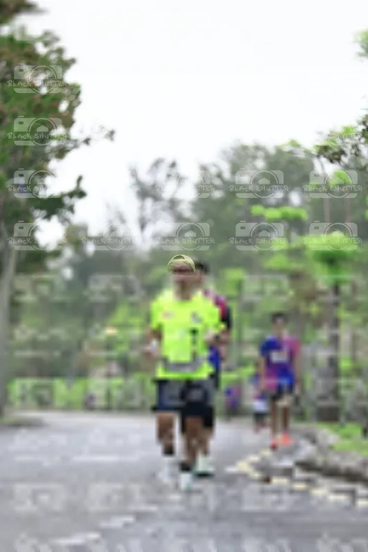 Photo ID 8532293
