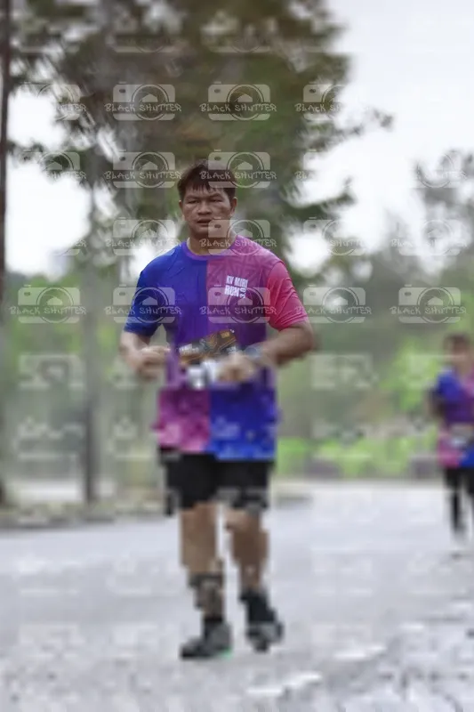 Photo ID 8533392