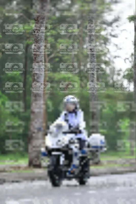 Photo ID 8533655
