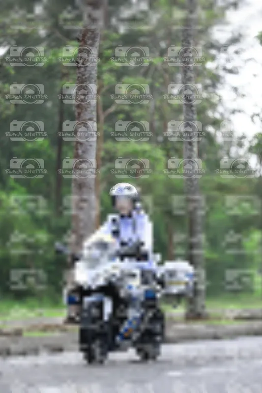 Photo ID 8533656