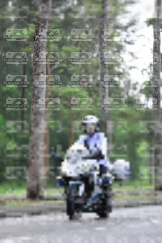 Photo ID 8533663