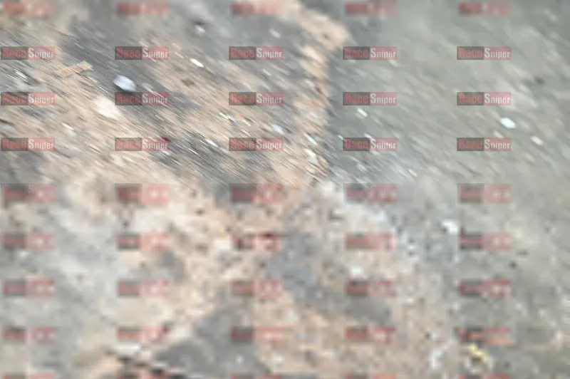 Photo ID 8533700