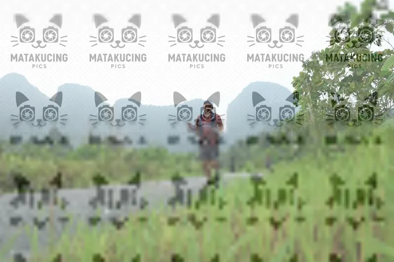 Photo ID 8537678