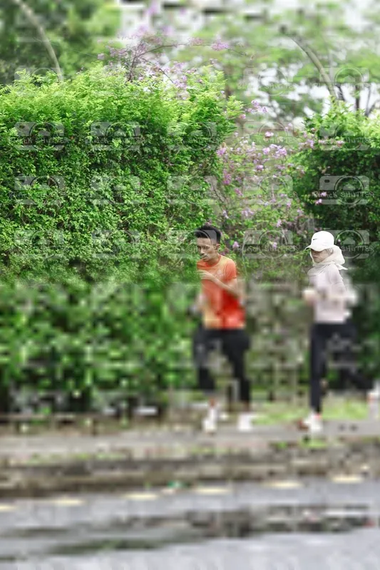 Photo ID 8539557