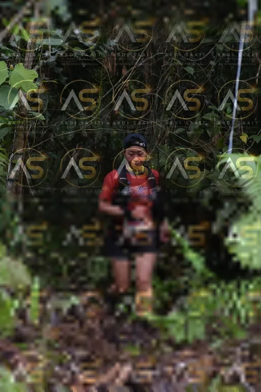 Photo ID 8551353