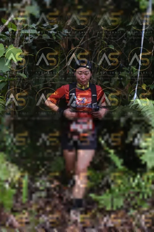 Photo ID 8551354