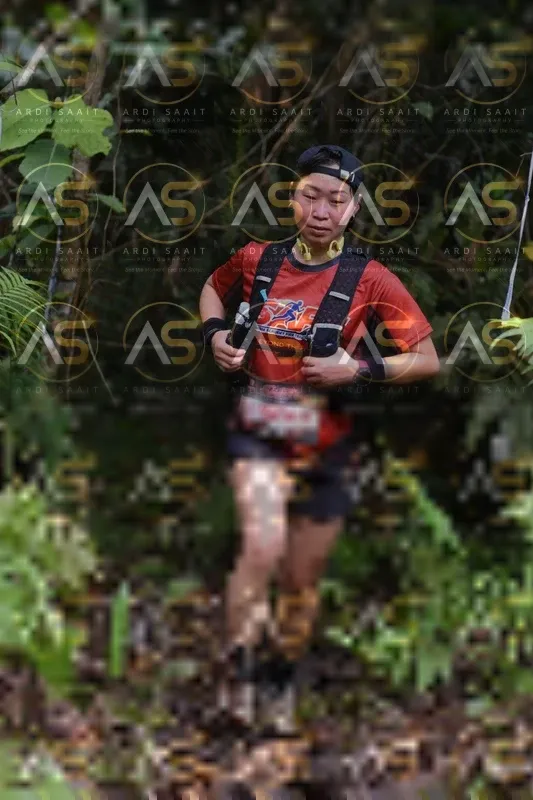 Photo ID 8551384