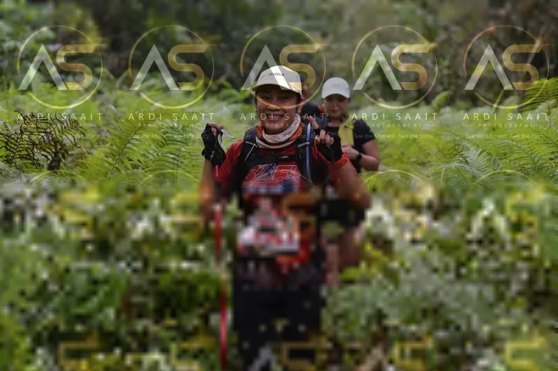 Photo ID 8551415
