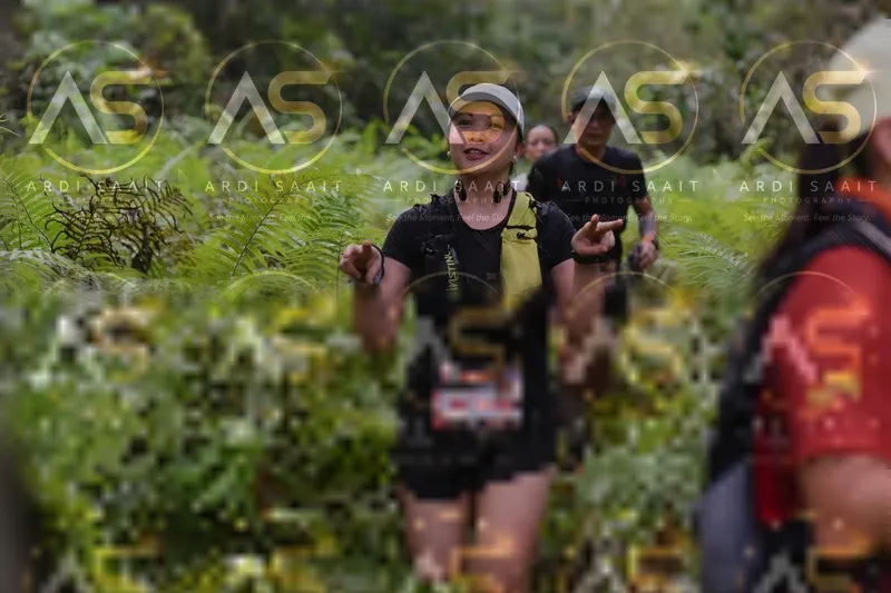 Photo ID 8551477