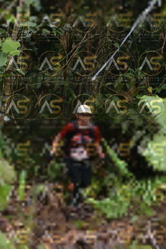 Photo ID 8551642
