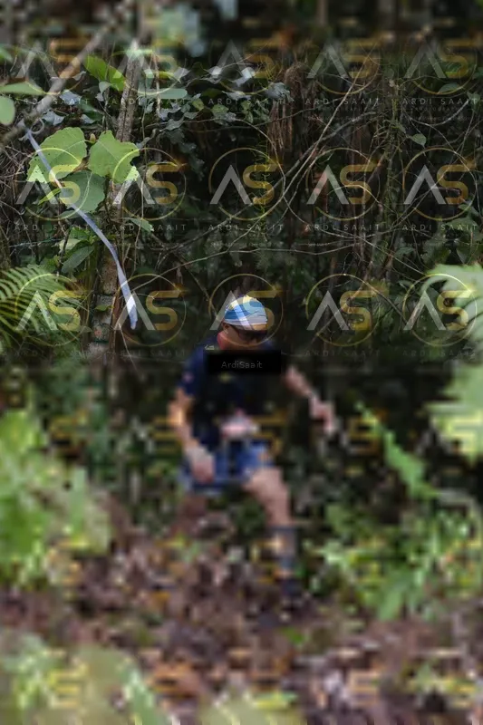 Photo ID 8552405