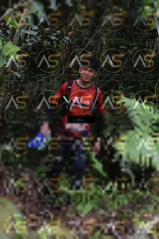 Photo ID 8552893