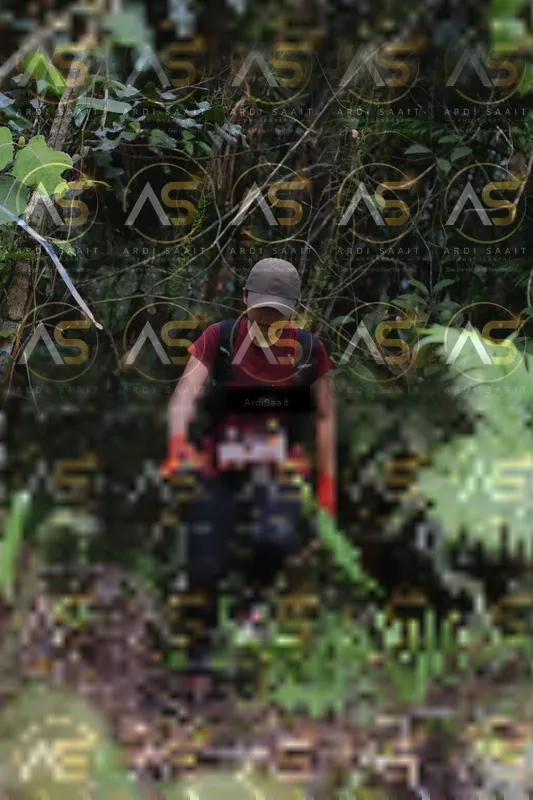 Photo ID 8552938