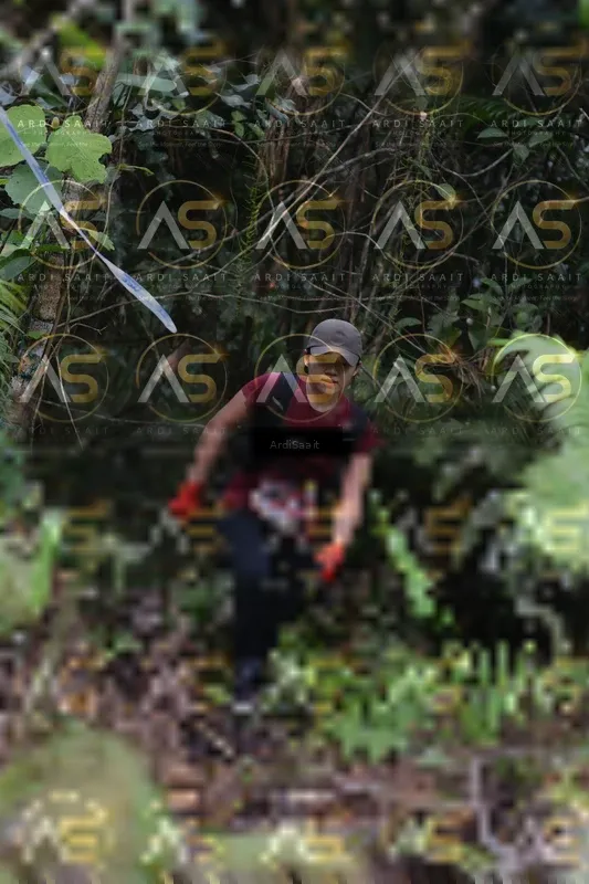 Photo ID 8552960