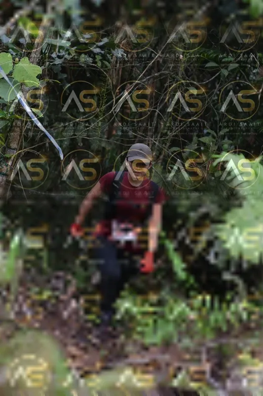 Photo ID 8553002