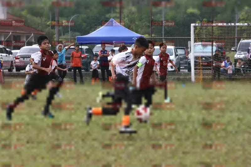 Photo ID 8553428