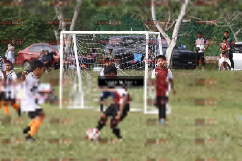 Photo ID 8553557