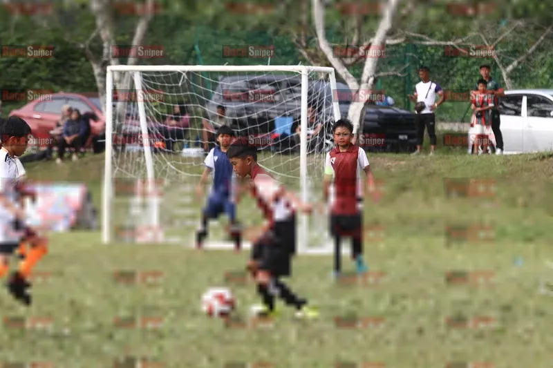 Photo ID 8553561