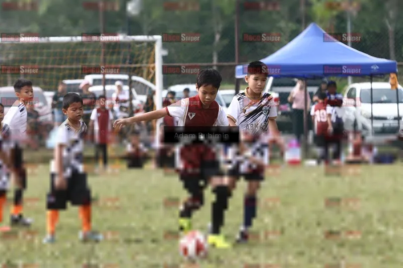 Photo ID 8553666