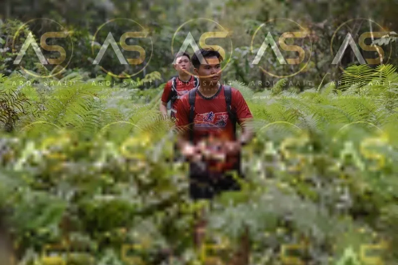 Photo ID 8553732