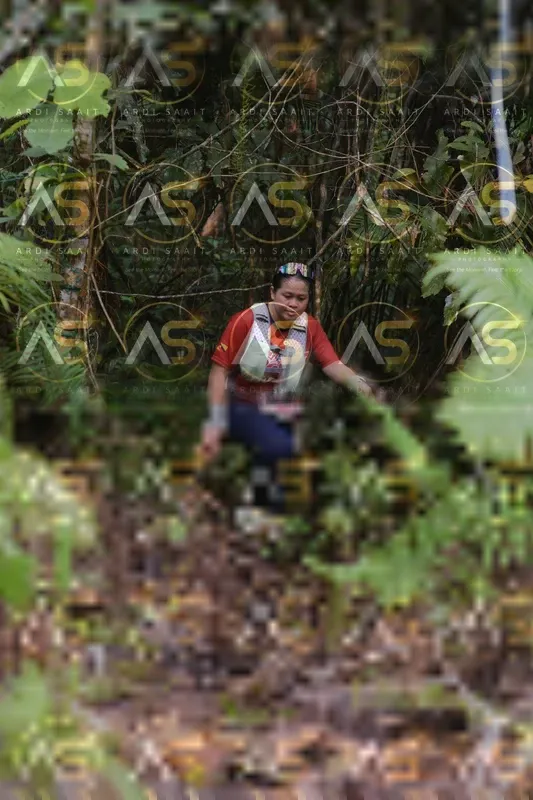 Photo ID 8554221