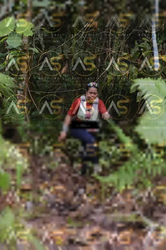 Photo ID 8554248