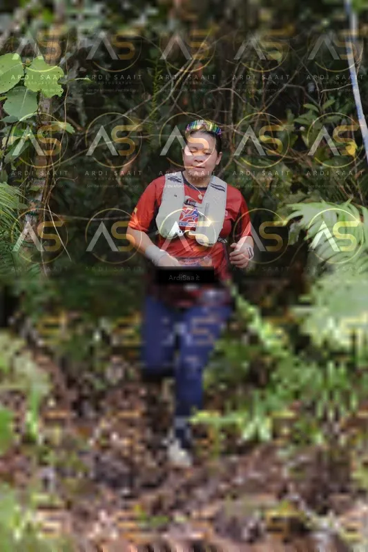 Photo ID 8554333