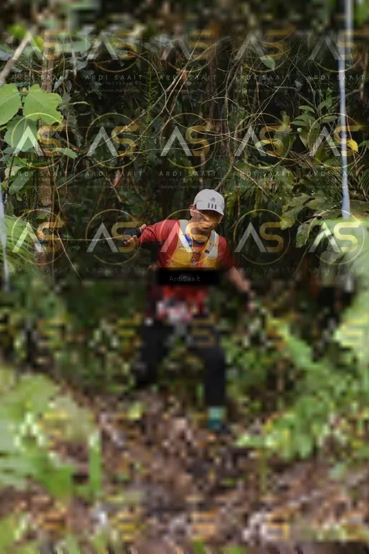 Photo ID 8554496