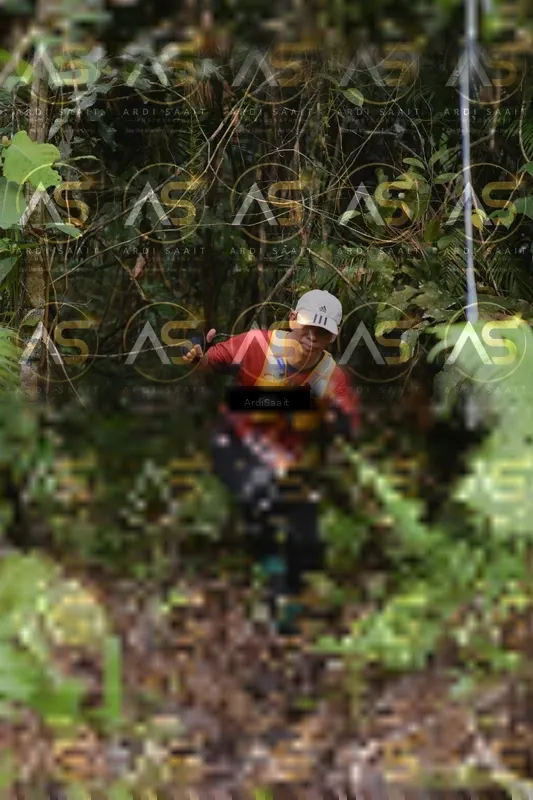 Photo ID 8554555