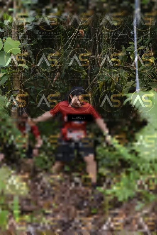 Photo ID 8554744